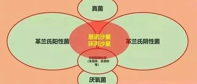cover_image
