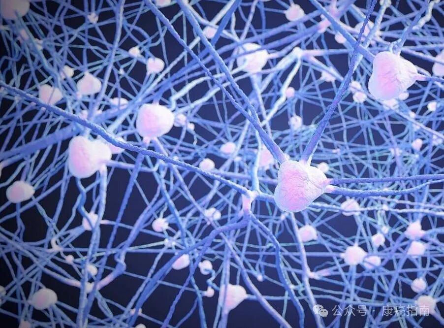 振奋！新型免疫疗法让致死率近100%的癌症消失4年！新型免疫疗法的奇迹与希望！