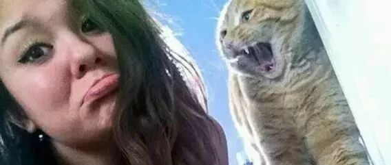 自拍记得拉上喵星人，据说这样可以显脸小！