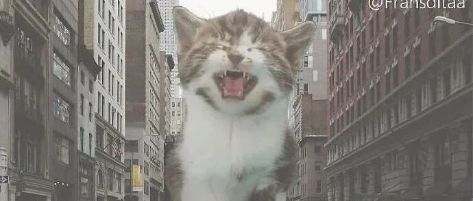 喵喵怪来袭，凹凸曼何在？