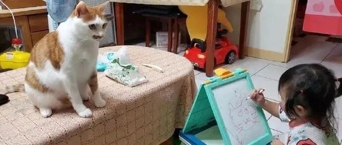 喵星人给小铲屎官当模特，不知道它看到作品后会怎么想。。。