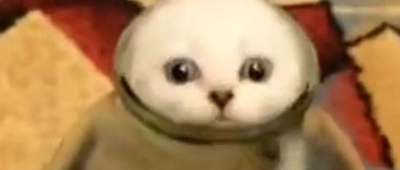 这是新品种喵星人——瓶中喵！