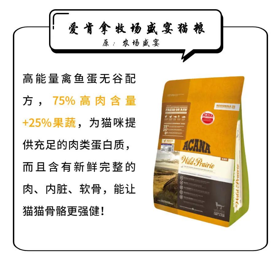 为啥别人家的猫能亲亲,我的不能?-微信头条网 为啥别人家的猫能亲亲,我的不能?