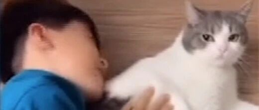 面对疯狂的铲屎官，喵星人见了都想逃！