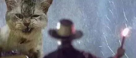 欢迎来到喵星纪公园，颤抖吧人类！