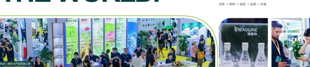 WPE & WHPE 往届展会现场