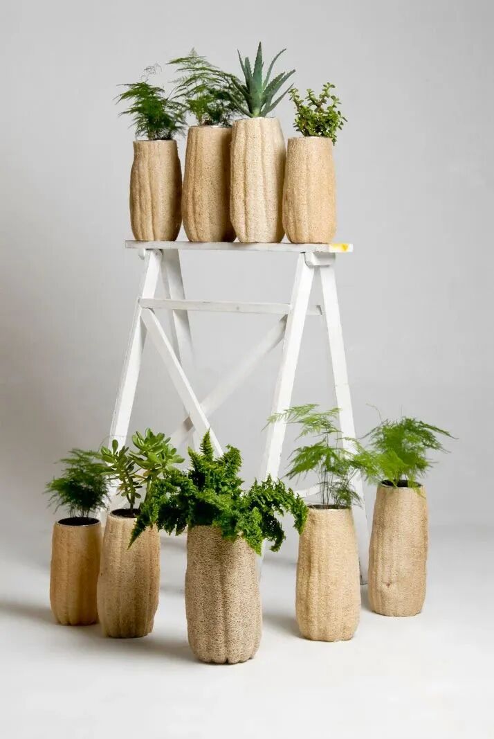 丝瓜络花瓶。设计：Fernando Laposse