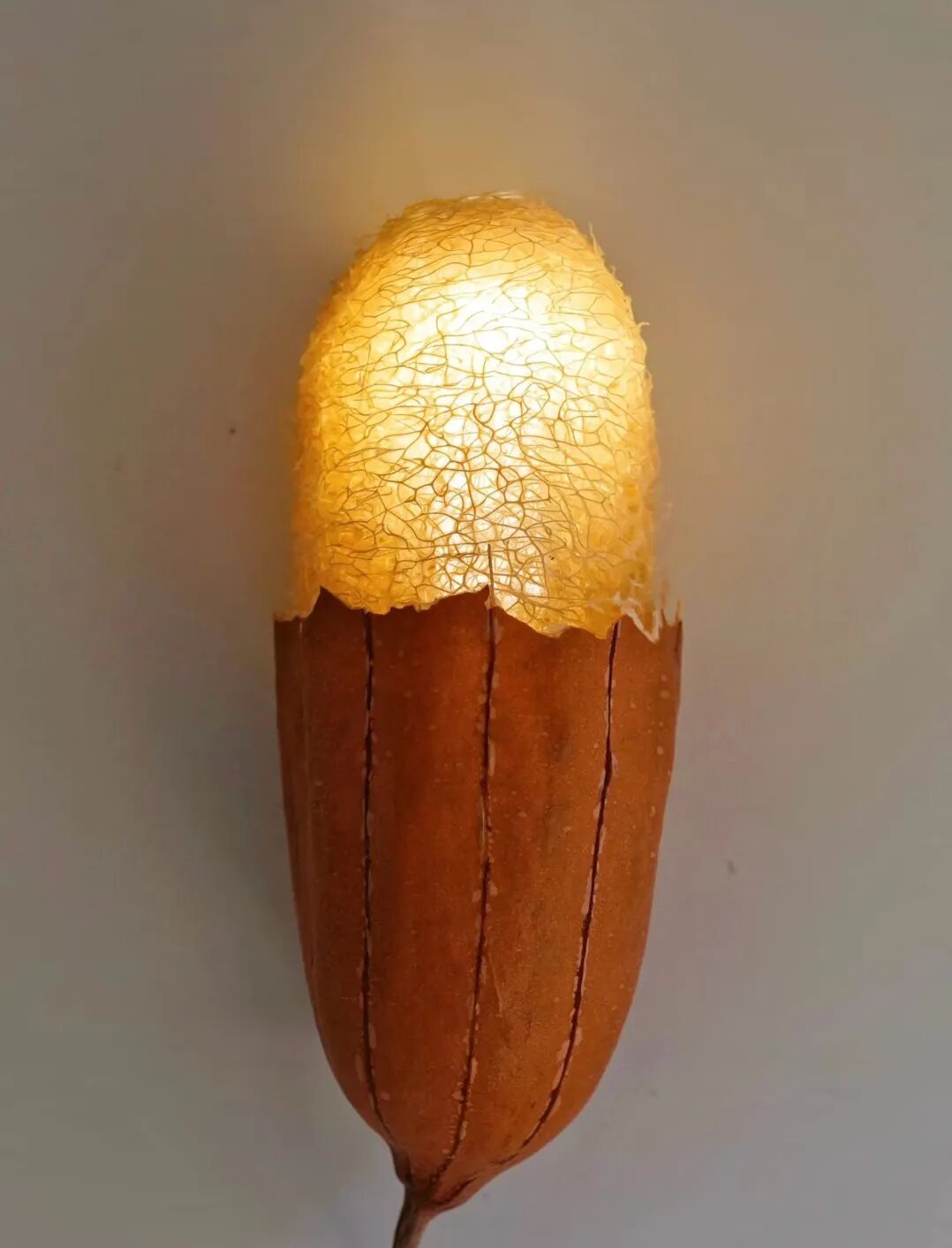 丝瓜络灯。图源小红书@心如童鞋