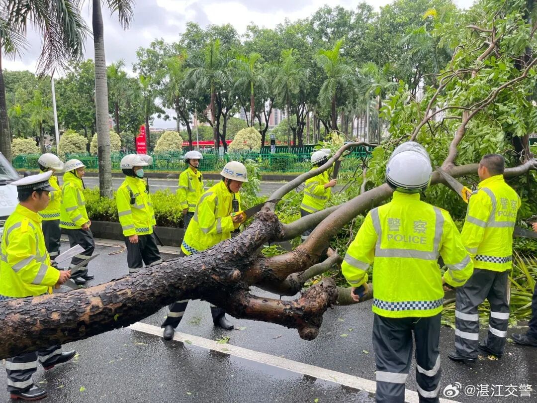 湛江交警清除路面障碍。