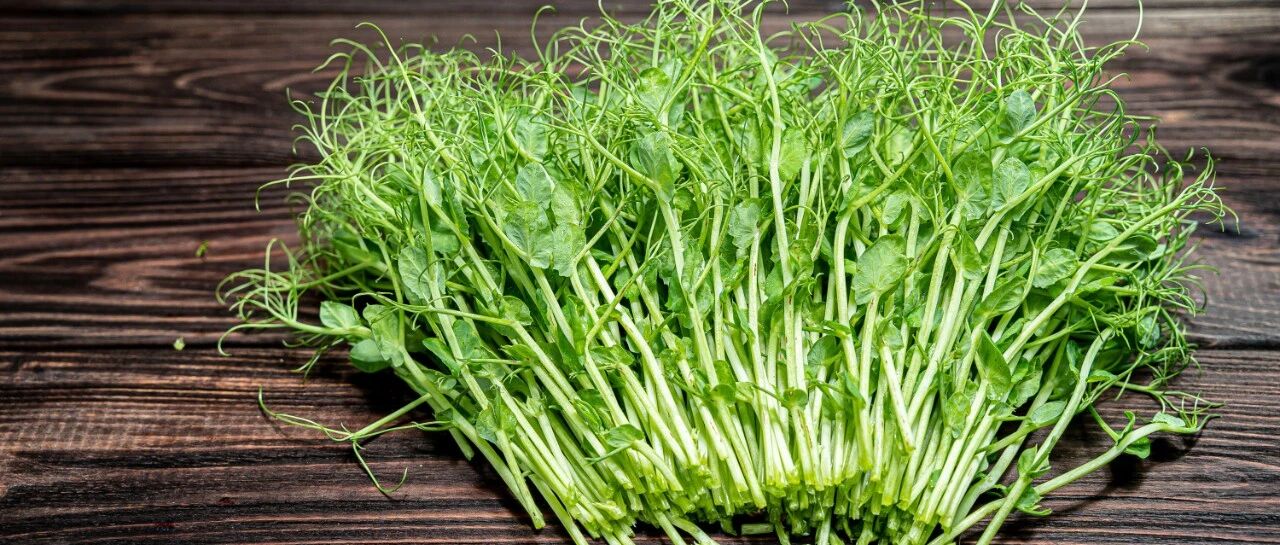 韭菜笋子豆不如此菜，号称是“春天第一菜”，几块钱就能买一大把，鲜的很！