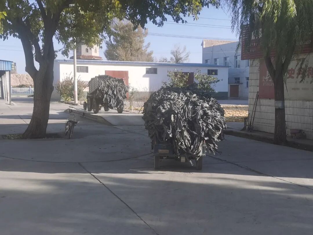 中国新城农村_新城镇农村人居环境整治_新城镇生态环境保护工作