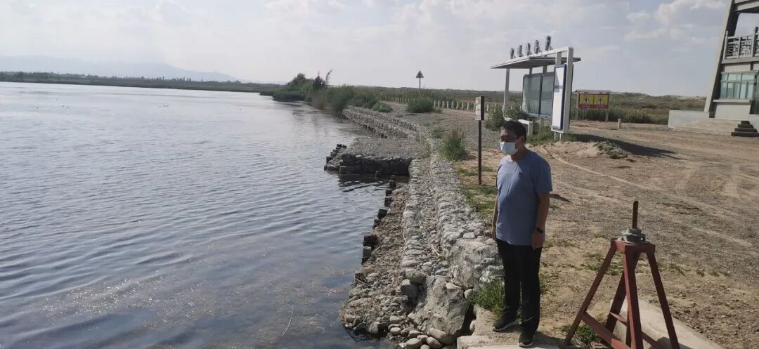 新城镇农村人居环境整治_新城镇生态环境保护工作_中国新城农村