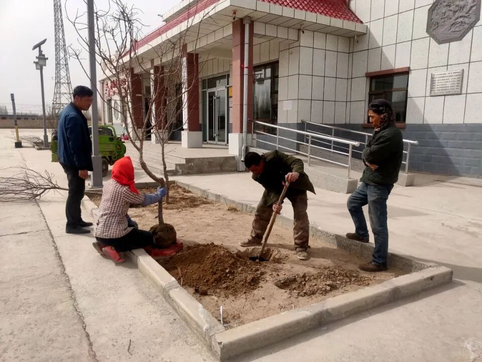 中国新城农村_新城镇农村人居环境整治_新城镇生态环境保护工作
