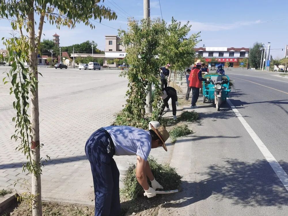 中国新城农村_新城镇生态环境保护工作_新城镇农村人居环境整治