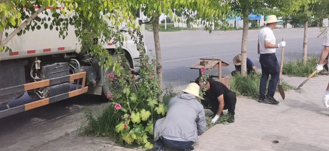 中国新城农村_新城镇生态环境保护工作_新城镇农村人居环境整治