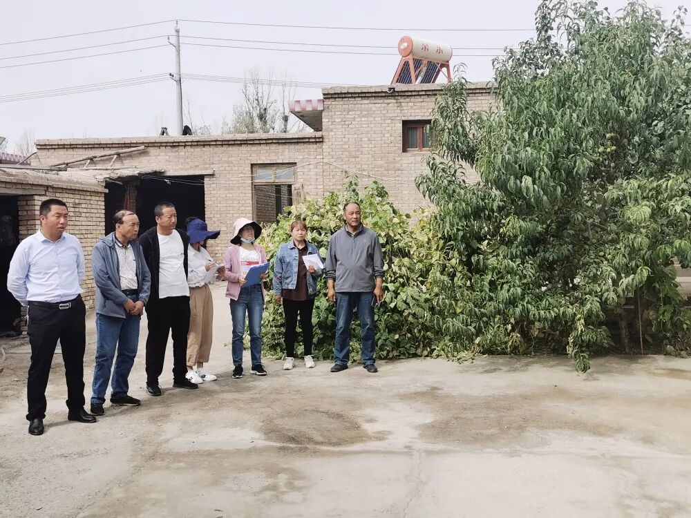 新城镇生态环境保护工作_新城镇农村人居环境整治_中国新城农村