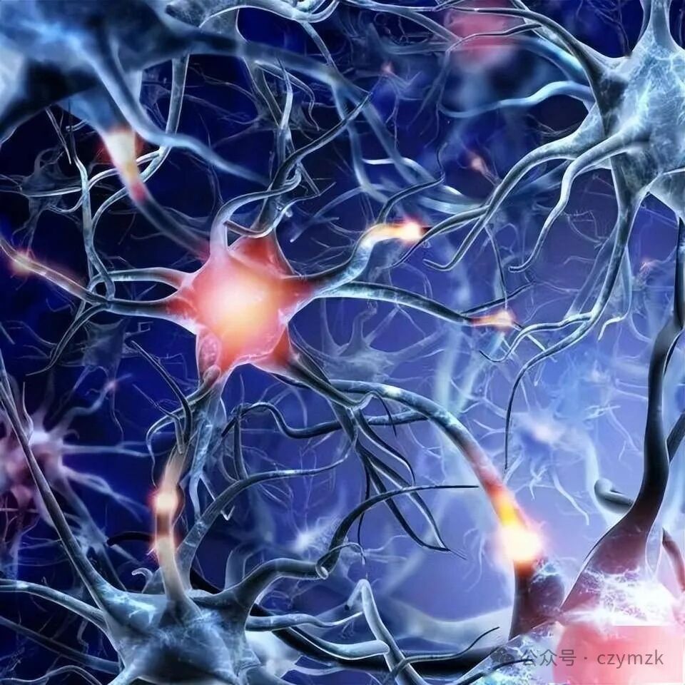 怎么清除麻醉睡眠和麻醉期间大脑清除率增加还是降低了？_https://www.jmylbn.com_新闻资讯_第2张