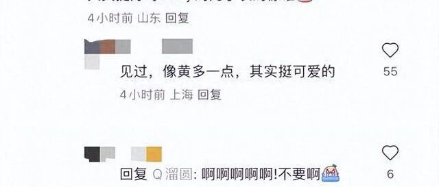 Angelababy新加坡环球影城被偶遇,小海绵长高了,正面巨像黄晓明