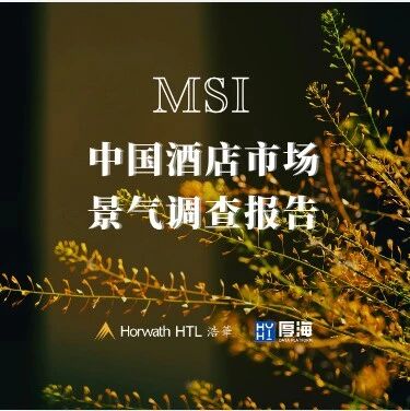 行研报告 - 厚海发布｜MSI·2024年第四季度中国酒店市场景气调查报告