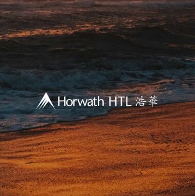 市场洞察 - 张润钢：一半是海水，一半是火焰｜2025年酒店行业综述（节选）