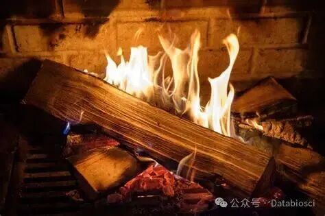 燃烧的火焰木材图片_壁炉里燃烧的木材素材_高清图片_摄影照片_寻图免费打包下载