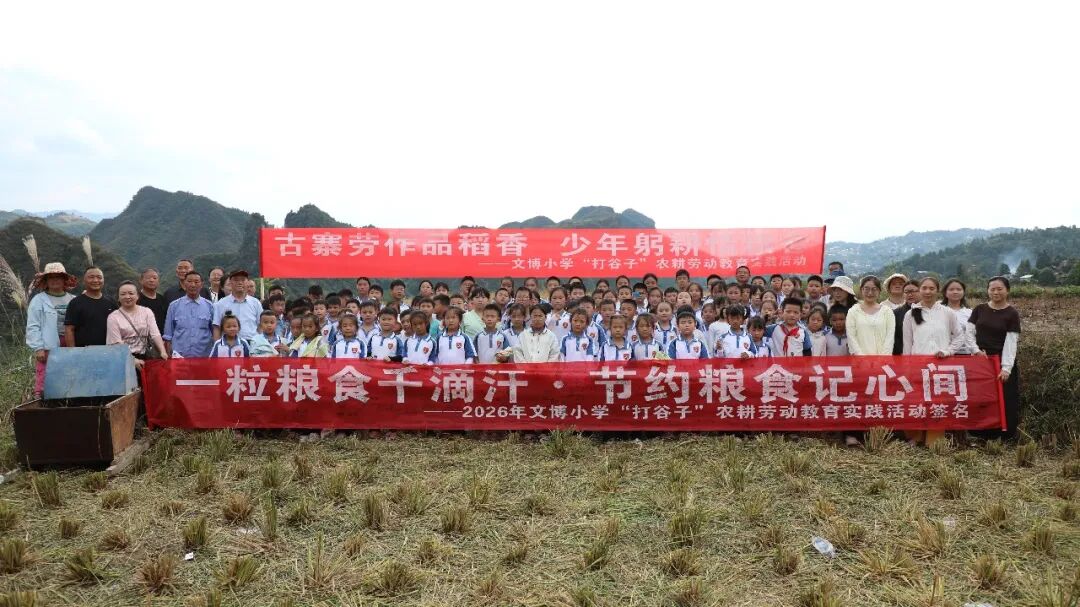 “侨胞之家”石阡县文博小学开展“打谷子”农耕劳动教育实践
