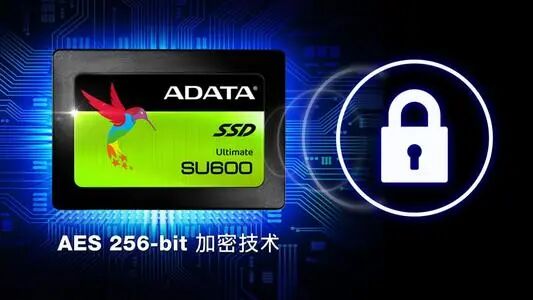 借力北鲲云超算，深圳大学智能机器人科研再提速的图5