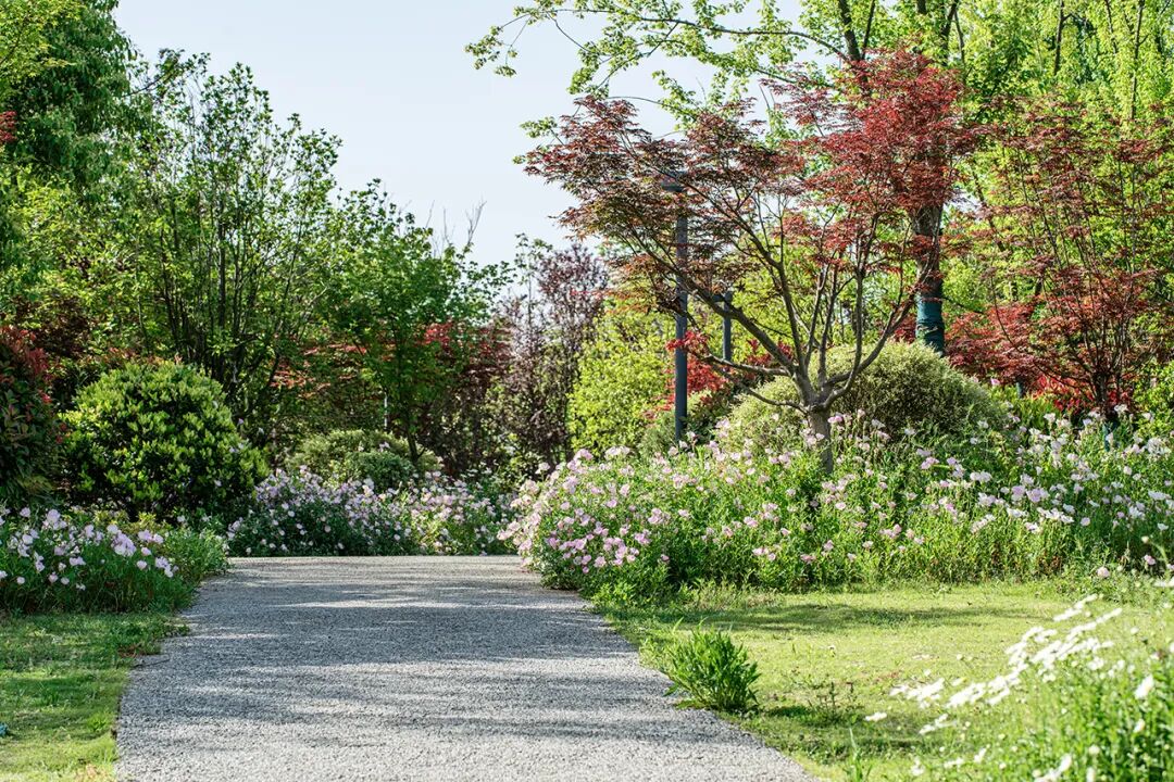 金螳螂景观|正阳植物园