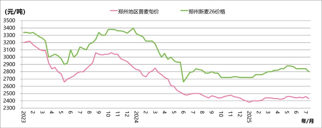 微信图片_2025-08-05_155519_099