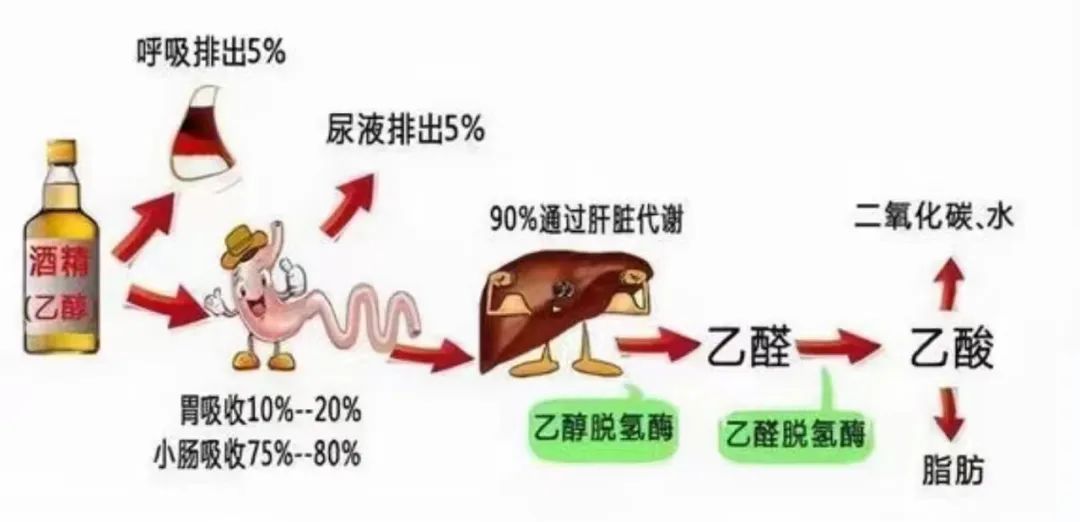 喝酒几个小时吹不出来