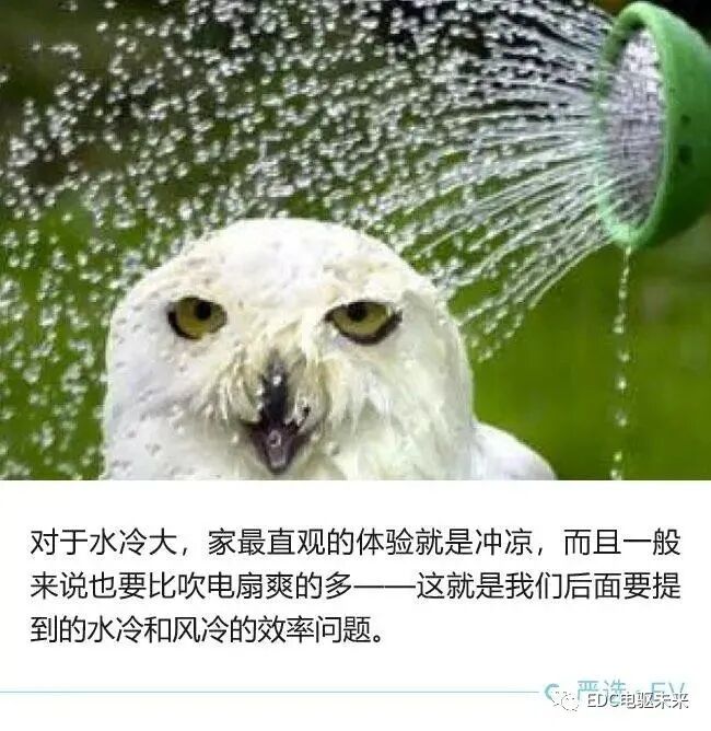 电机怎么冷却的?解剖给你看！的图11