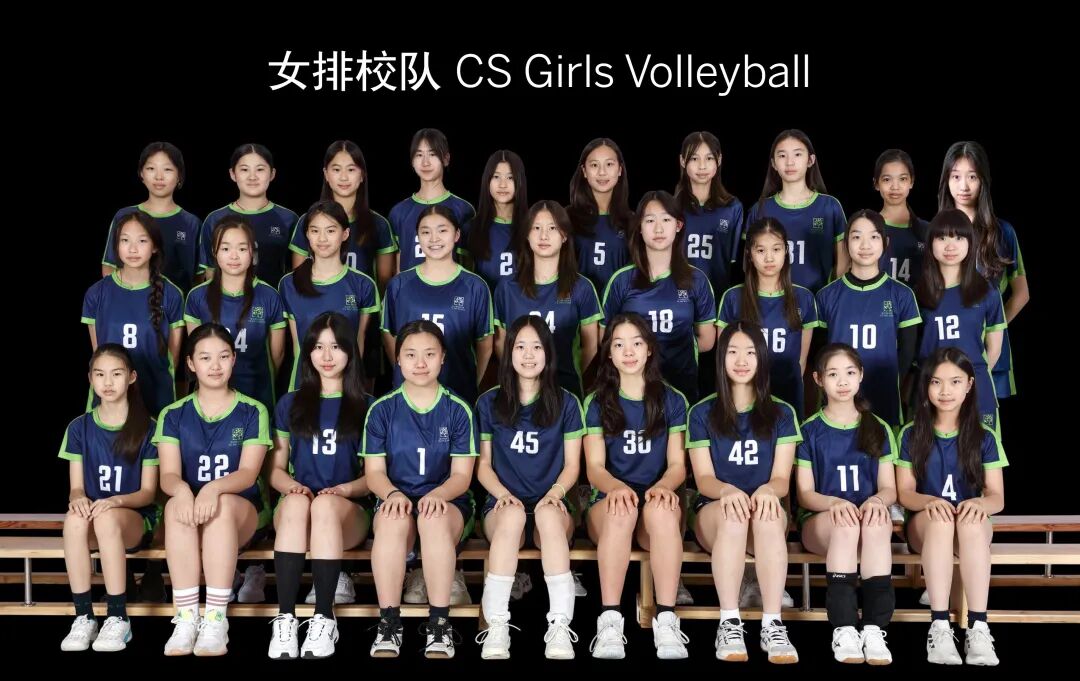 女排.jpeg
