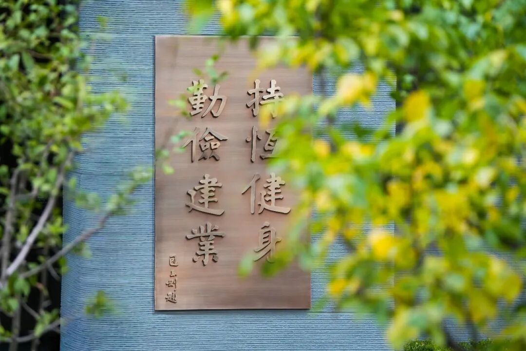 DSC05002.jpg