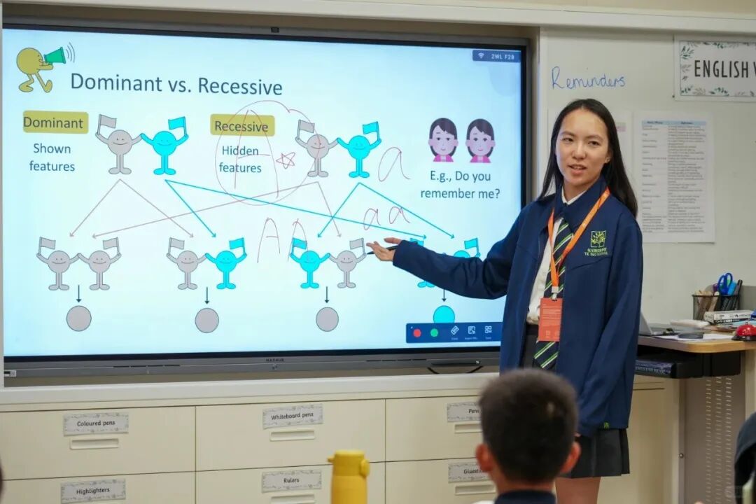 iGEM YKPS Metacove｜星期四｜小学和基因_1_iGEM MetaCove YKPS_来自小红书网页版.jpg