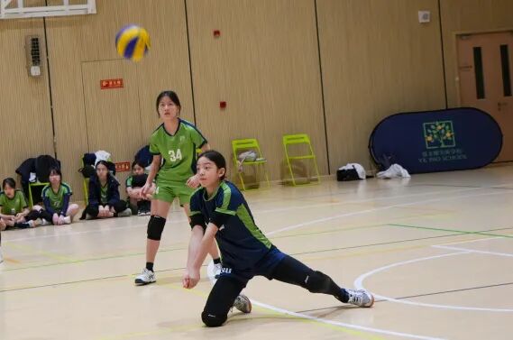 DSC08395.jpg