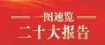 一图速览党的二十大报告
