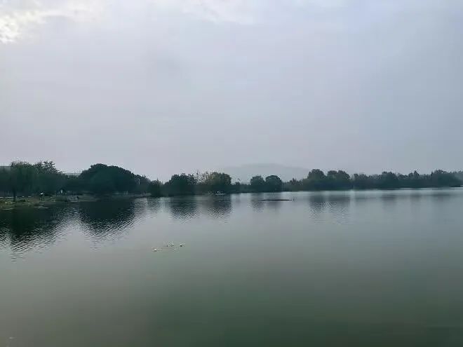 目之所及，天印湖湖水清澈广阔，白鹭贴着水面飞行，湖面阵阵涟漪泛起。