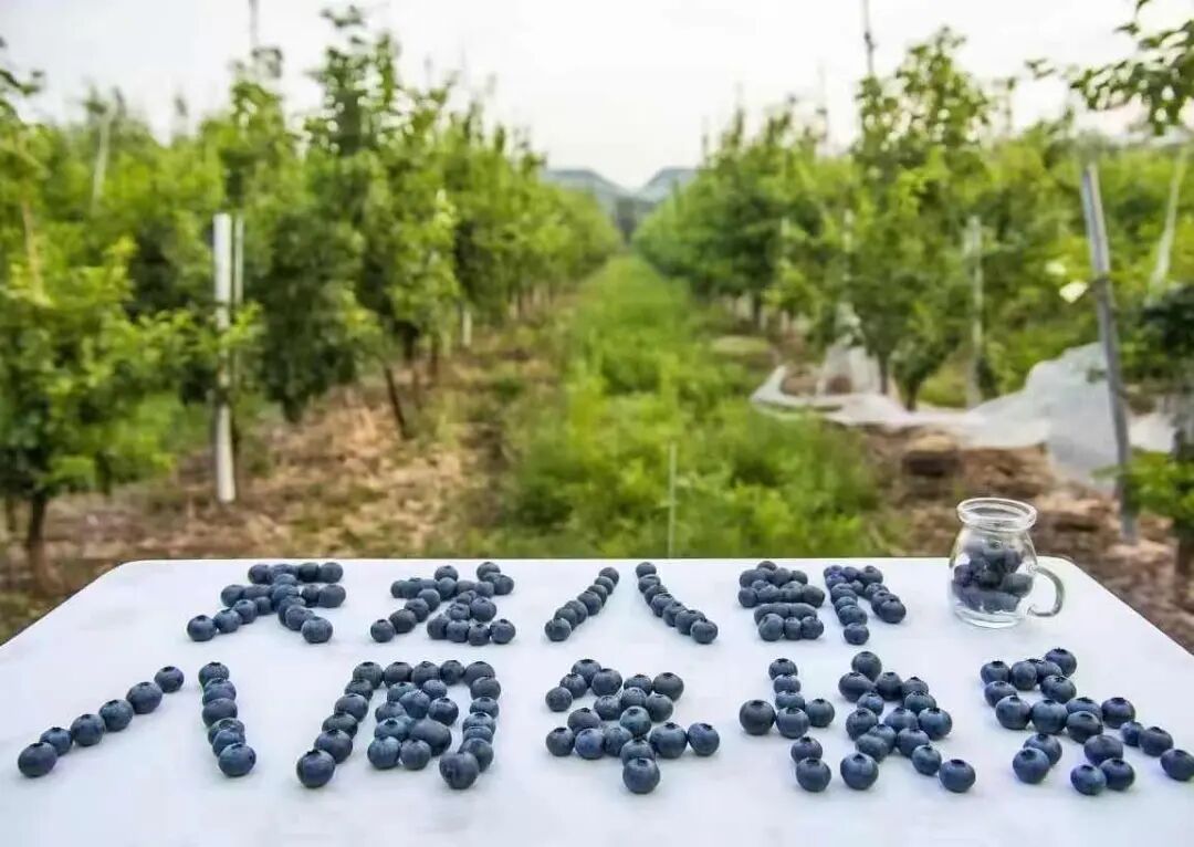 投稿回顾丨八载江湖路，万千少侠情！天龙八周年投稿合集