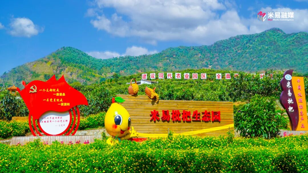 米易奔赴绿色农业的星辰大海