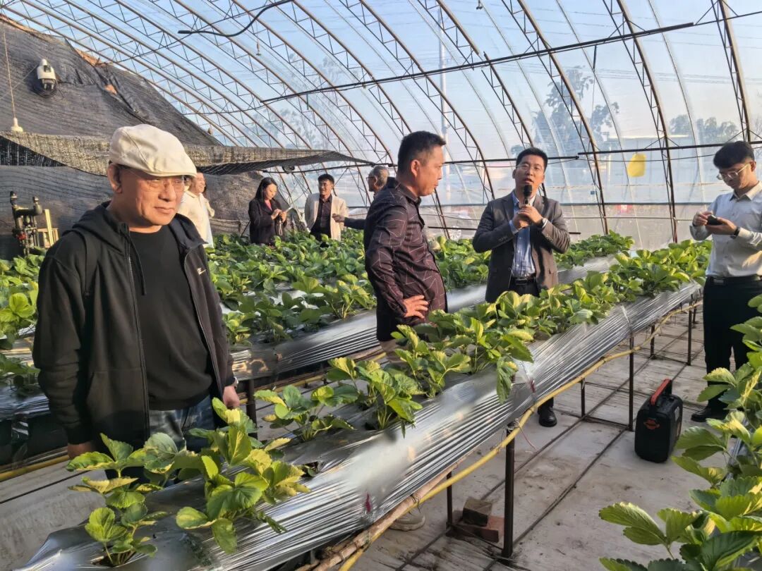 到火热的生产一线去丨内蒙古中青年作家采访团走进赤峰采访调研活动圆满结束 第46张