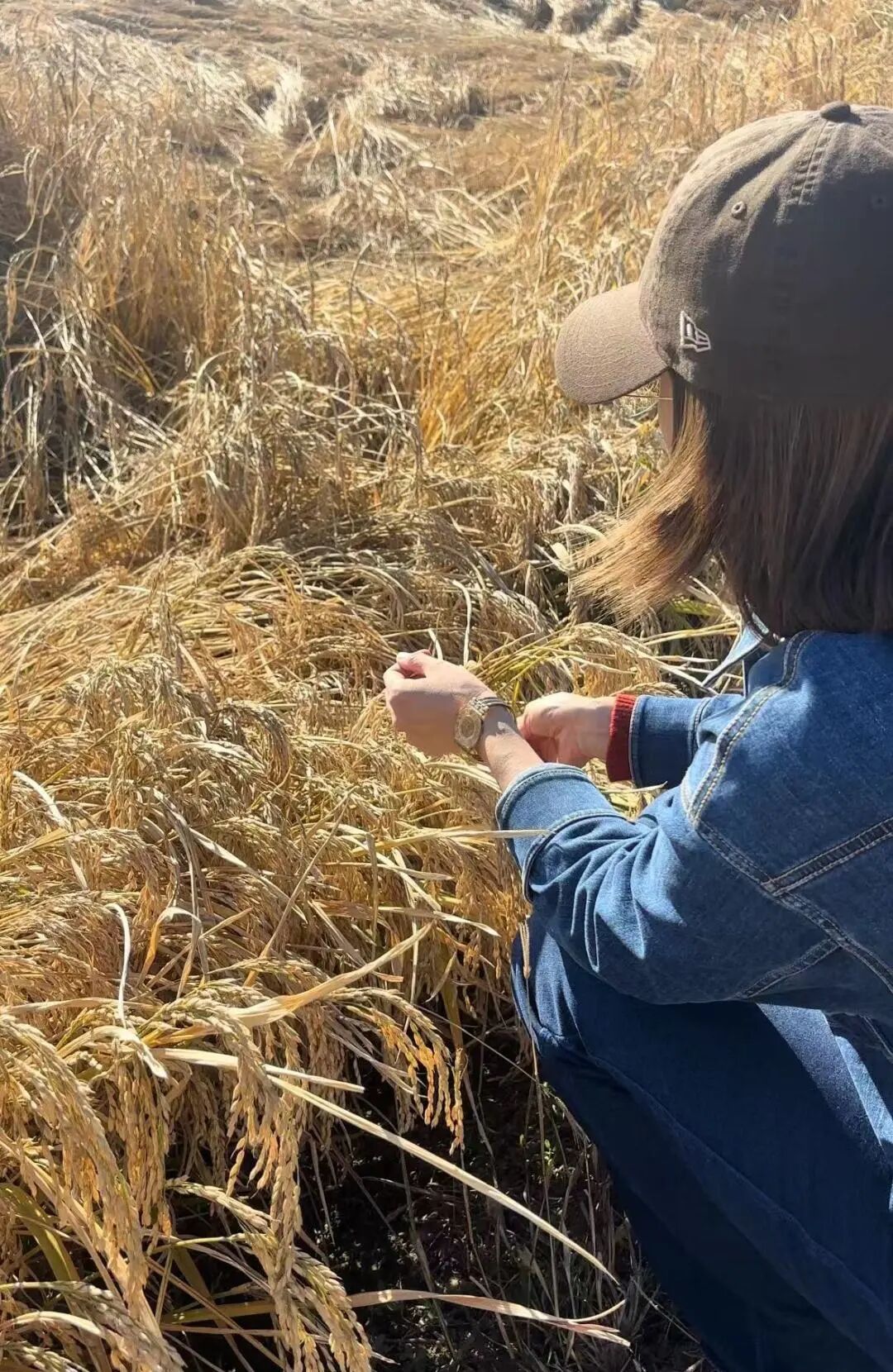 到火热的生产一线去丨内蒙古中青年作家采访团走进赤峰采访调研活动圆满结束 第21张