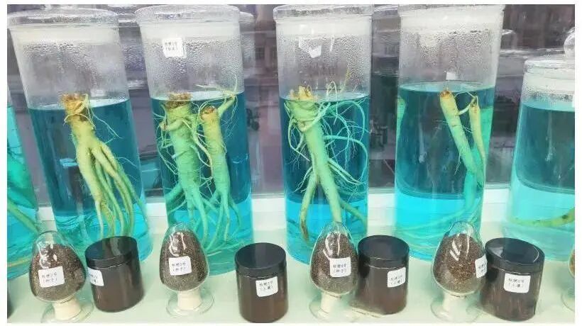 到火热的生产一线去丨内蒙古中青年作家采访团走进赤峰采访调研活动圆满结束 第36张