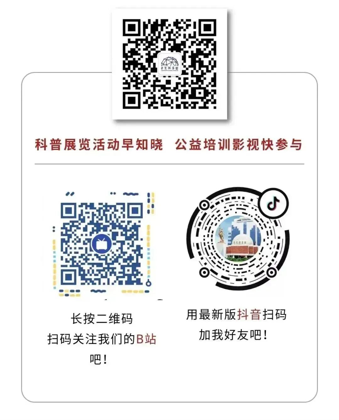 蜜蜂采蜜全过程揭秘：从花朵到蜂巢，小小工蜂如何酿出甜美蜂蜜