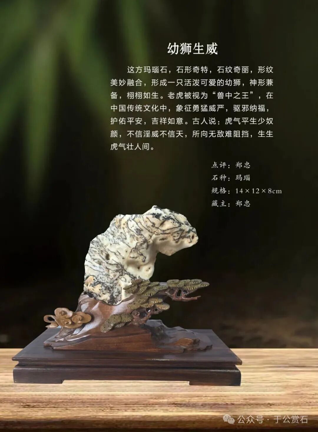 退有所作 休有所为 生命不息 赏石不止 ——退休军人郑忠献身赏石文化事迹