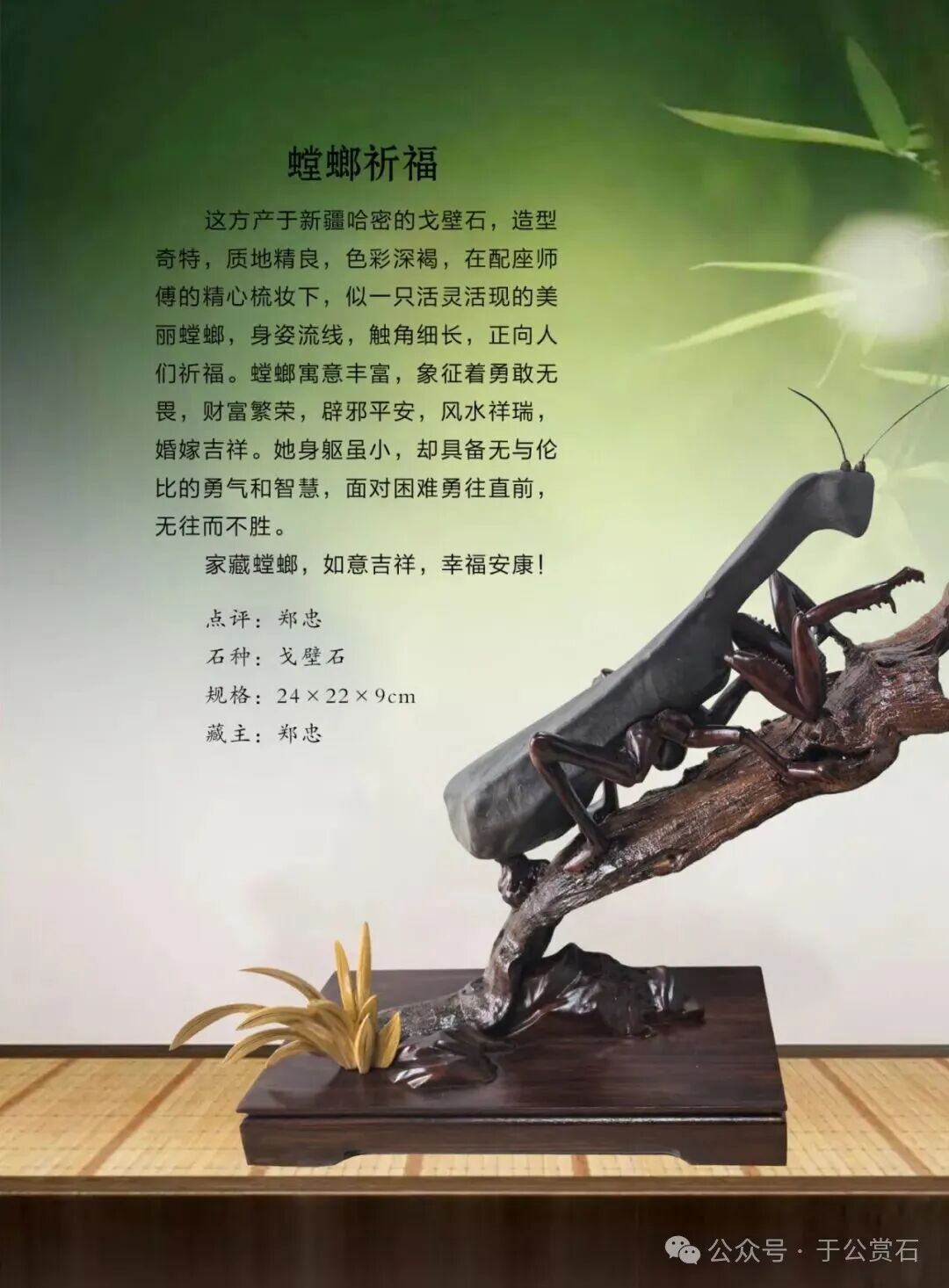 退有所作 休有所为 生命不息 赏石不止 ——退休军人郑忠献身赏石文化事迹