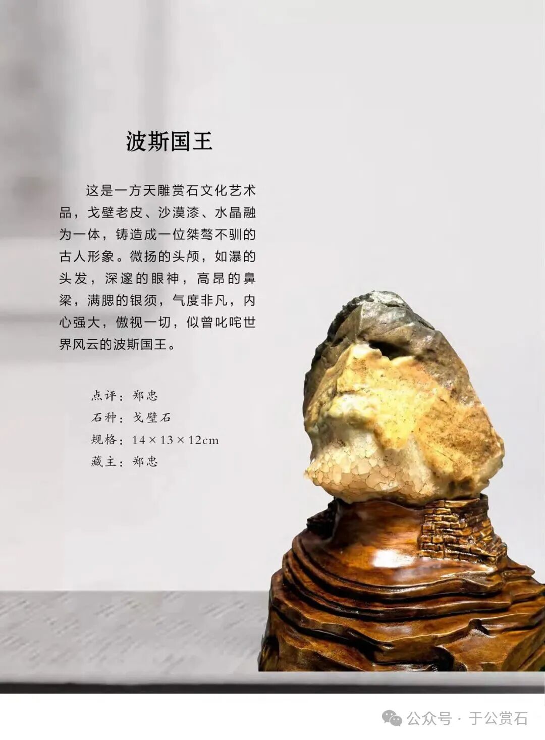 退有所作 休有所为 生命不息 赏石不止 ——退休军人郑忠献身赏石文化事迹