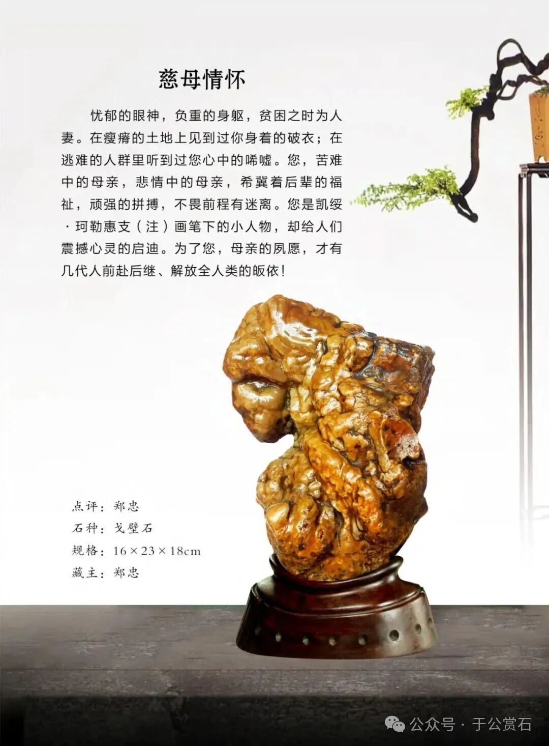 退有所作 休有所为 生命不息 赏石不止 ——退休军人郑忠献身赏石文化事迹