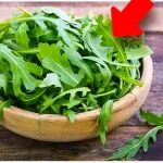 芝麻菜提升一氧化氮