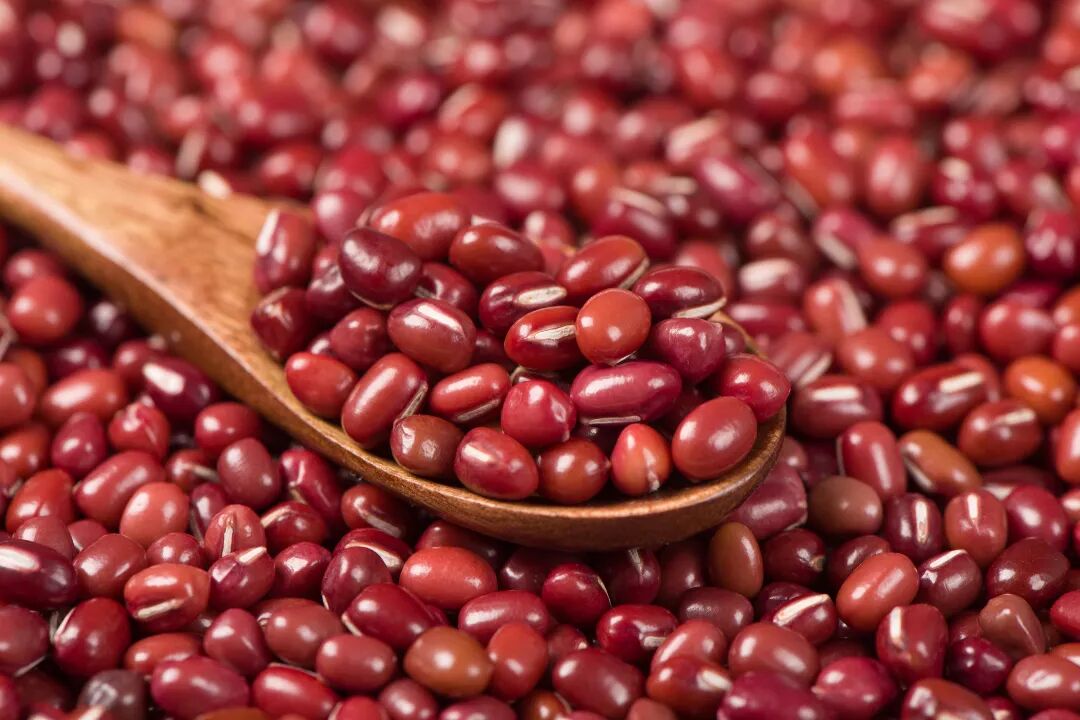 红豆.jpg