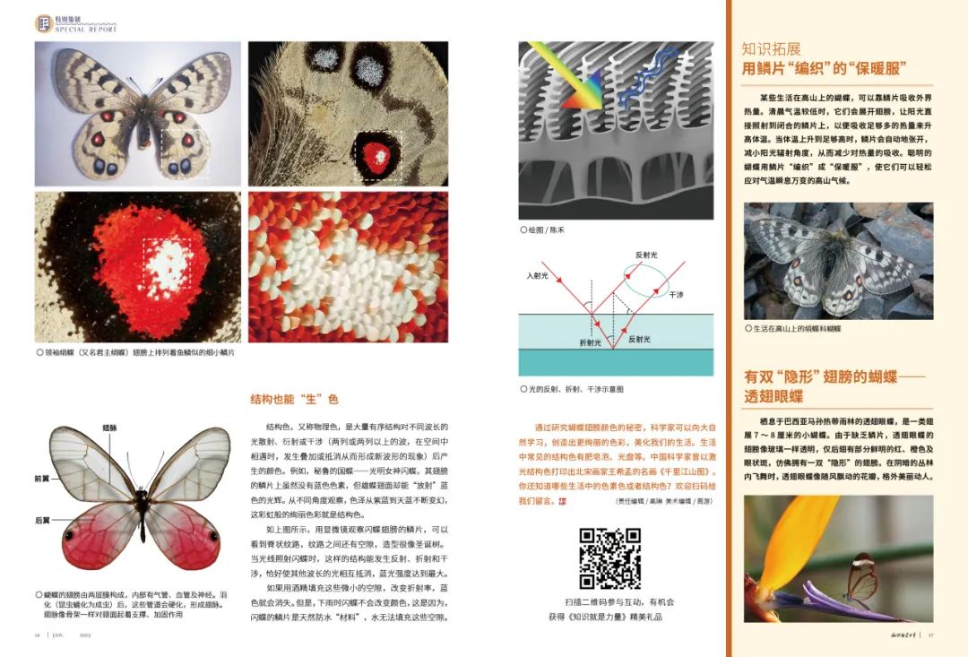 云南1亿只蝴蝶让拍照特效组放假了